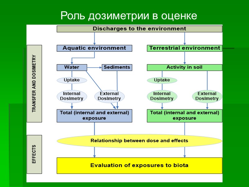 Роль дозиметрии в оценке Роль дозиметрии в оценке